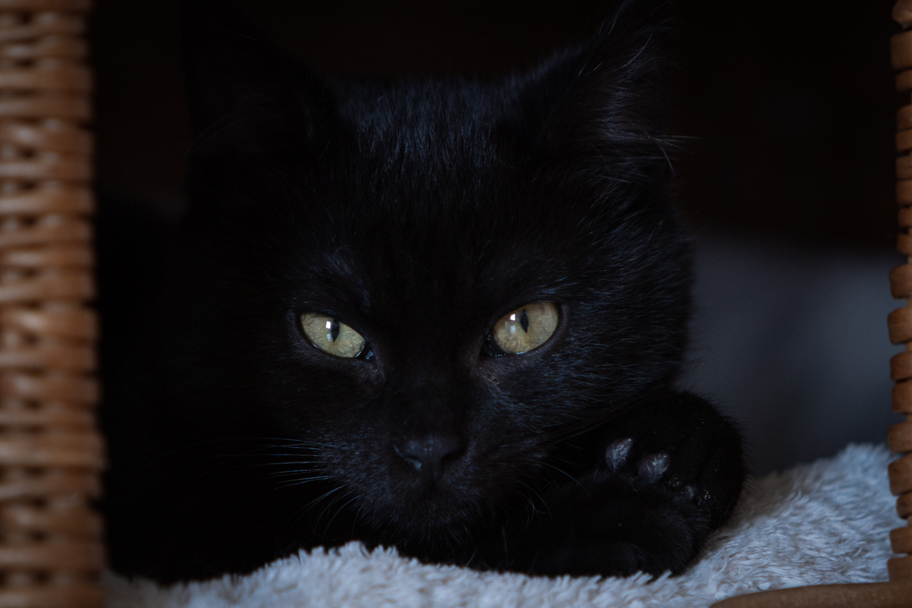 Kuro